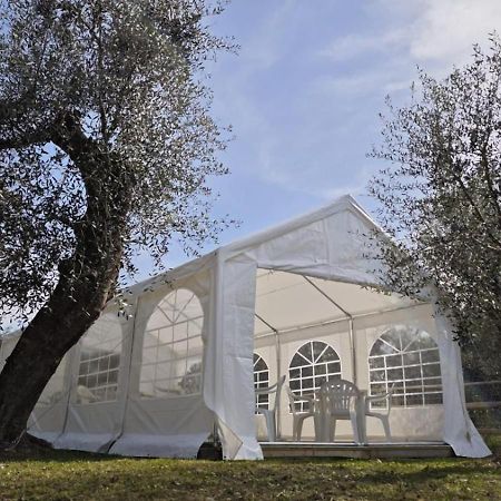 Appartamento Alba Dachi Farm Marina dʼMarina dʼAndora Екстериор снимка