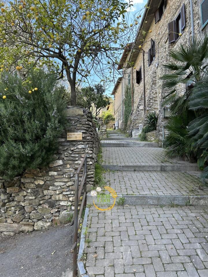 Appartamento Alba Dachi Farm Marina dʼMarina dʼAndora Екстериор снимка