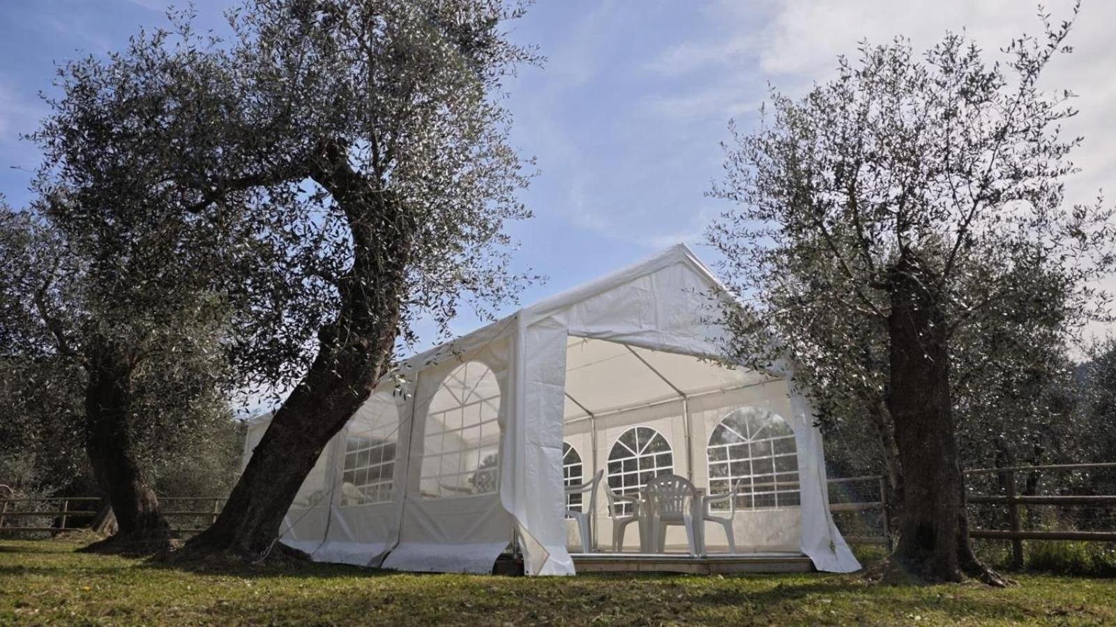 Appartamento Alba Dachi Farm Marina dʼMarina dʼAndora Екстериор снимка